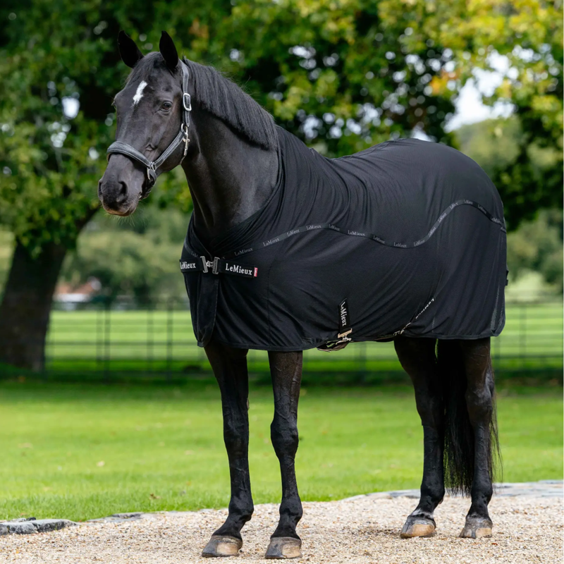 LeMieux Arika Air-Tek Sheet - Black
