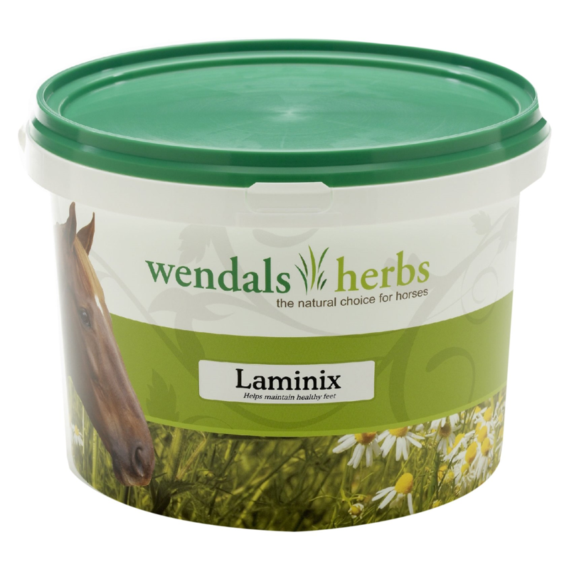 Wendals Laminix - 1kg