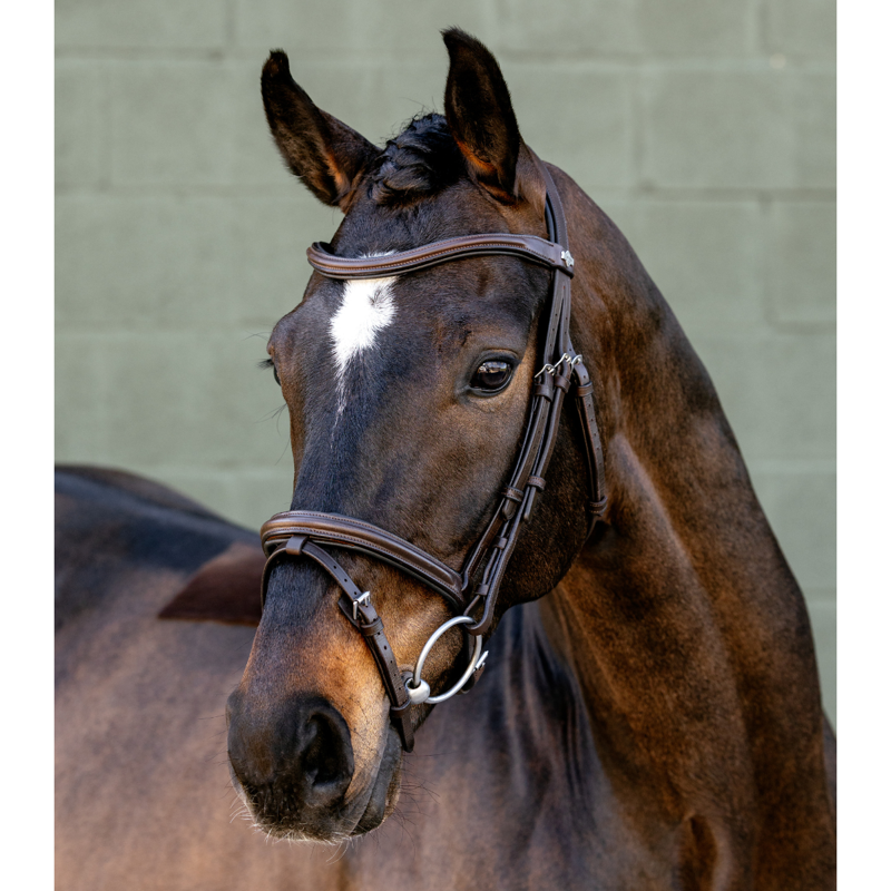 LeMieux Arika Flash Bridle - Brown/Silver-2
