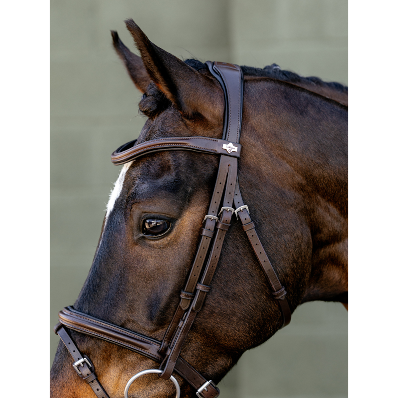 LeMieux Arika Flash Bridle - Brown/Silver-3
