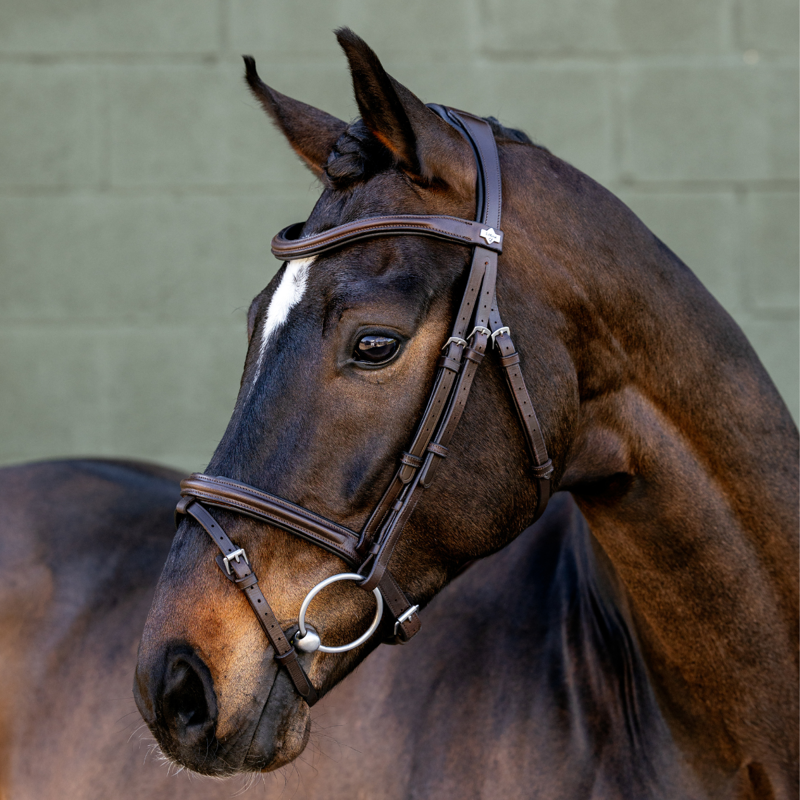 LeMieux Arika Flash Bridle - Brown/Silver-1