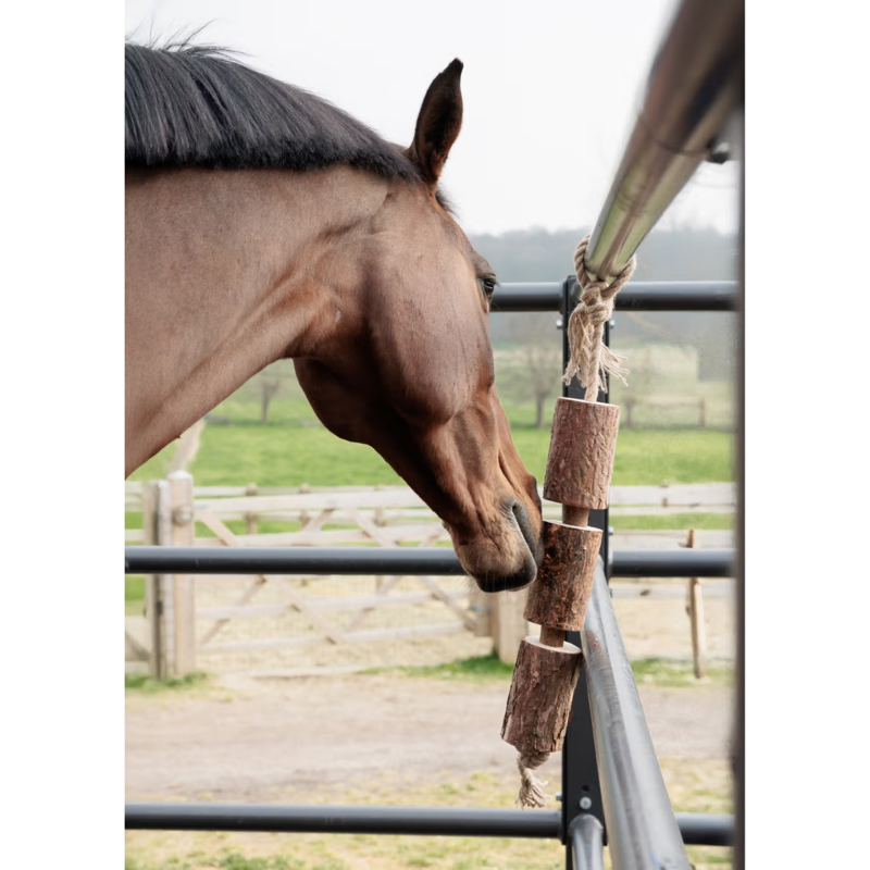 Grooming Deluxe Wooden Relax Horse Toy - Made By Nature-2