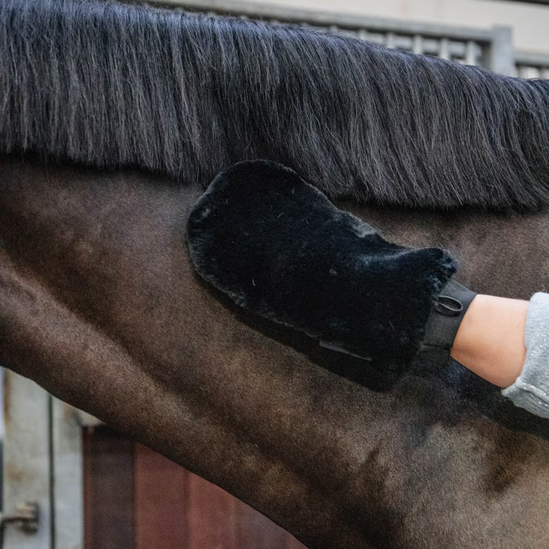 Grooming Deluxe Sheepskin Grooming Glove - Black-1