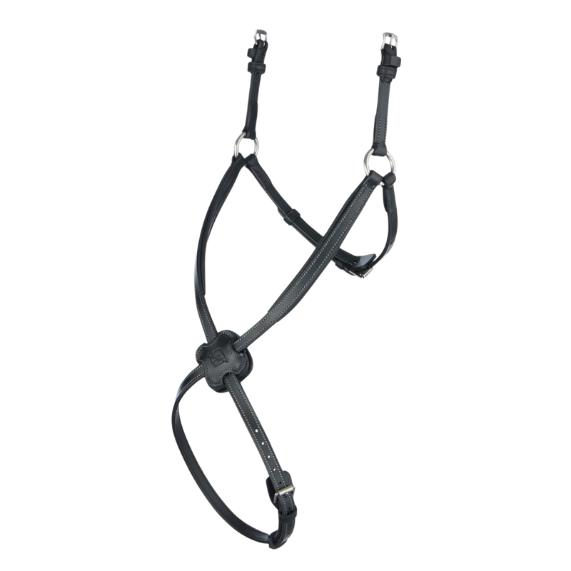 Lemieux Arika Grackle Noseband - Black/Silver