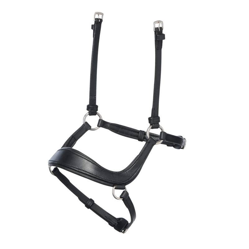 Lemieux Arika Drop Noseband - Black/Silver