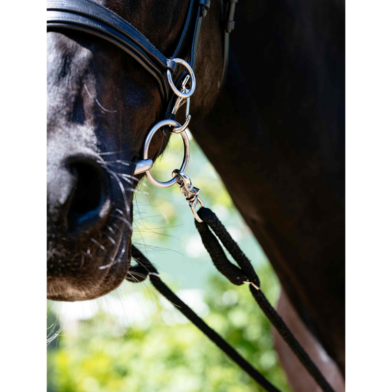 LeMieux Rope Lunging Aid - Black-1
