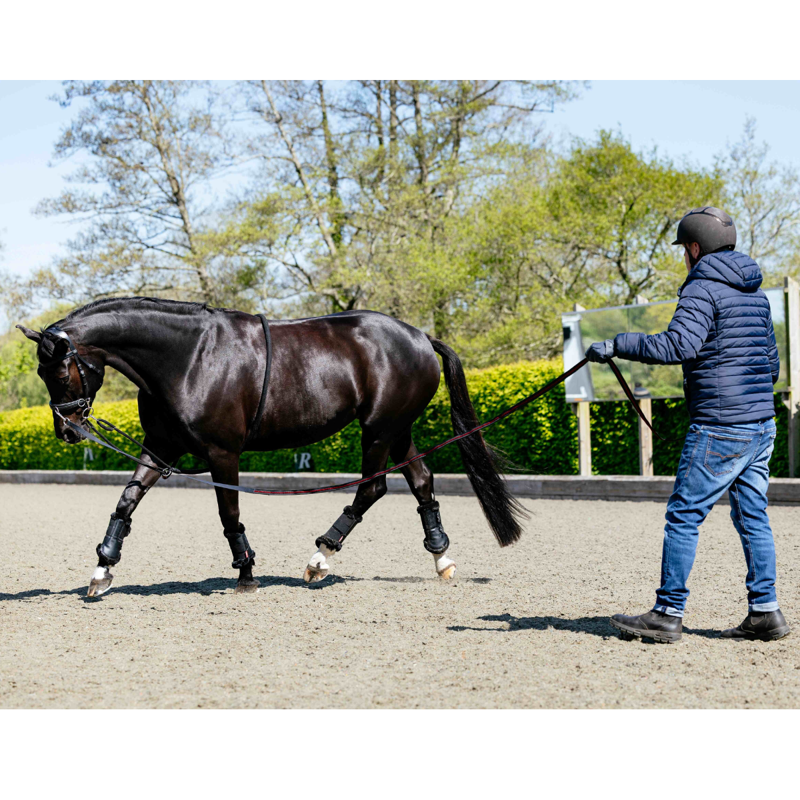 LeMieux Rope Lunging Aid - Black-2