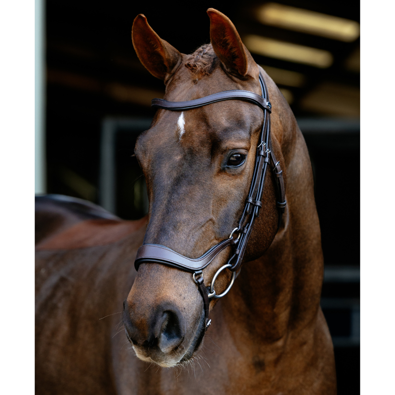 LeMieux Arika Anatomic Drop Bridle - Brown/Silver-3