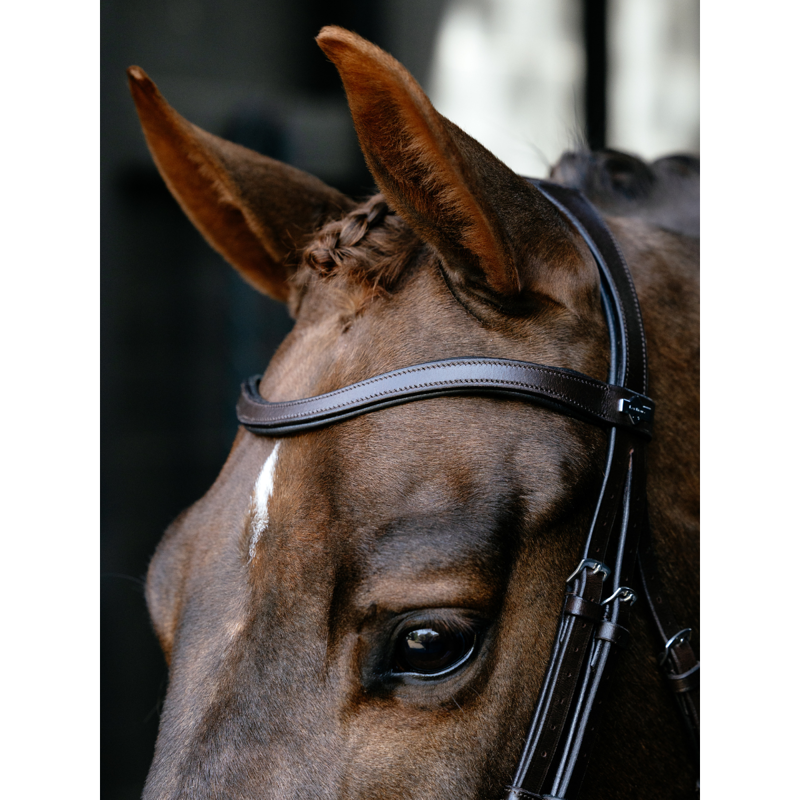 LeMieux Arika Anatomic Drop Bridle - Brown/Silver-2
