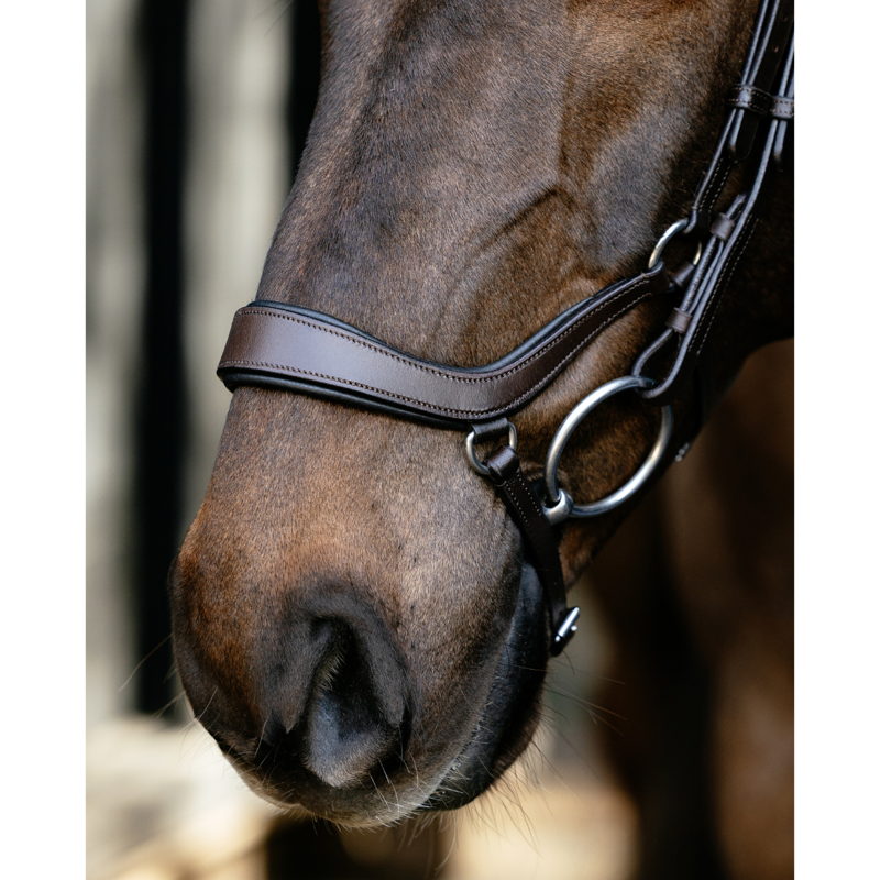 LeMieux Arika Anatomic Drop Bridle - Brown/Silver-1