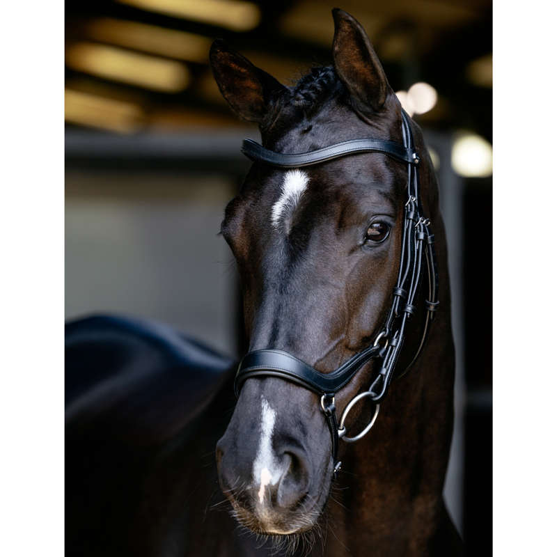 LeMieux Arika Anatomic Drop Bridle - Black/Silver-3
