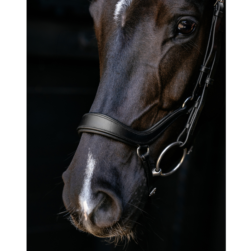 LeMieux Arika Anatomic Drop Bridle - Black/Silver-2