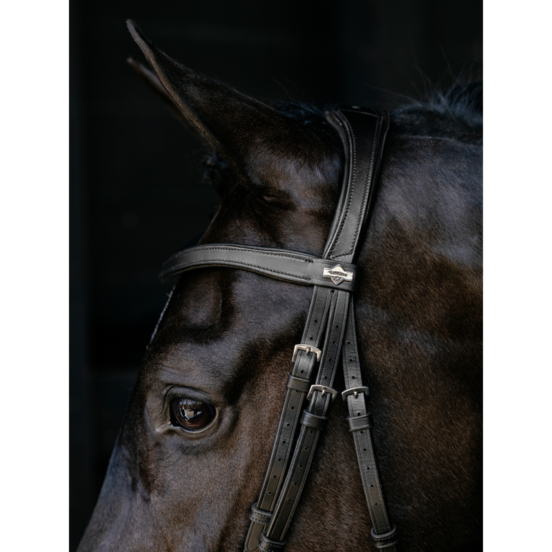 LeMieux Arika Anatomic Drop Bridle - Black/Silver-1
