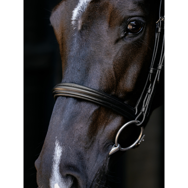 LeMieux Arika Cavesson Bridle - Black/Silver-1