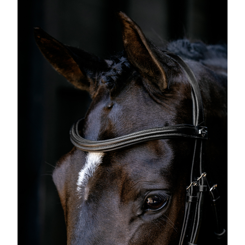 LeMieux Arika Cavesson Bridle - Black/Silver-2