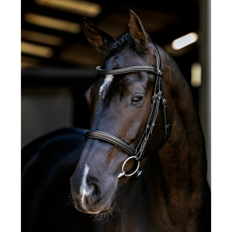 LeMieux Arika Cavesson Bridle - Black/Silver-3