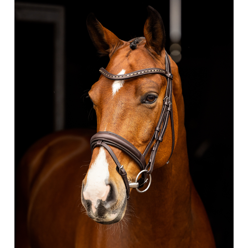 LeMieux Arika Anatomic Dressage Bridle - Brown/Silver-1