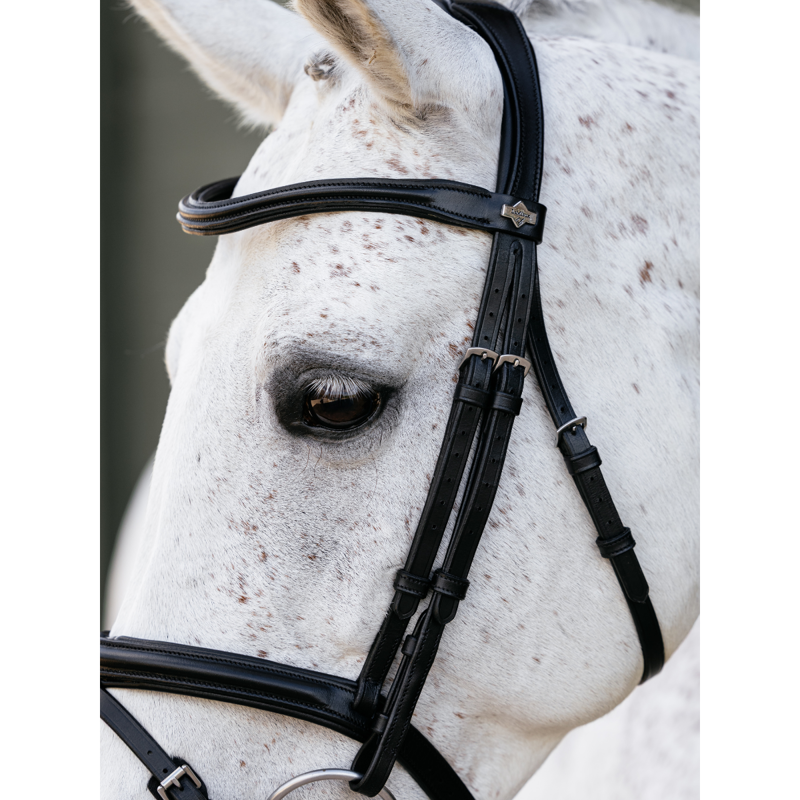 LeMieux Arika Anatomic Flash Bridle - Black/Silver-2