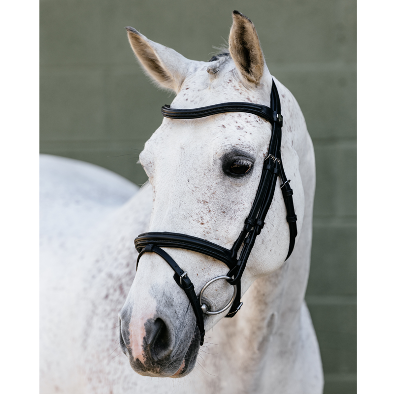 LeMieux Arika Anatomic Flash Bridle - Black/Silver-1
