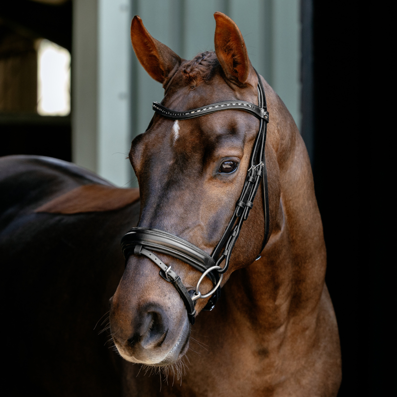 LeMieux Arika Anatomic Dressage Bridle - Black/Silver-1