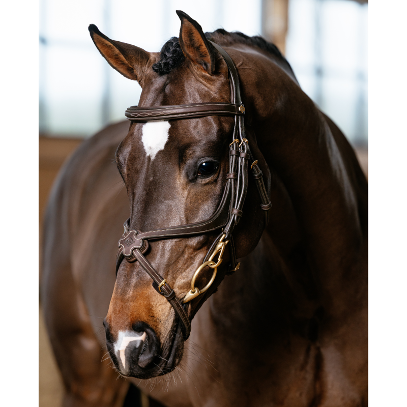 LeMieux Kudos Grackle Work Bridle - Brown-1