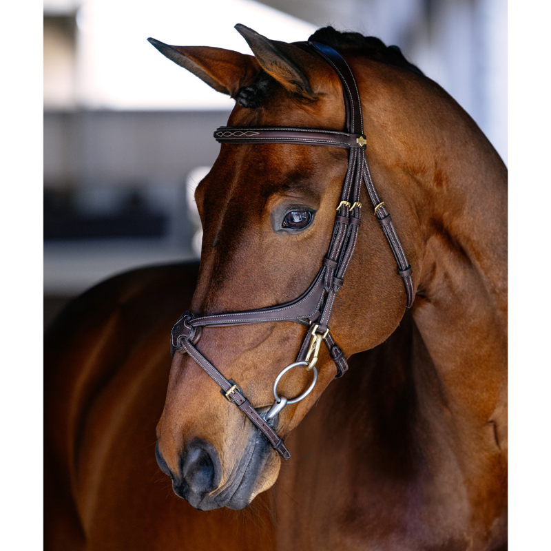 LeMieux Kudos Grackle Work Bridle - Brown-3