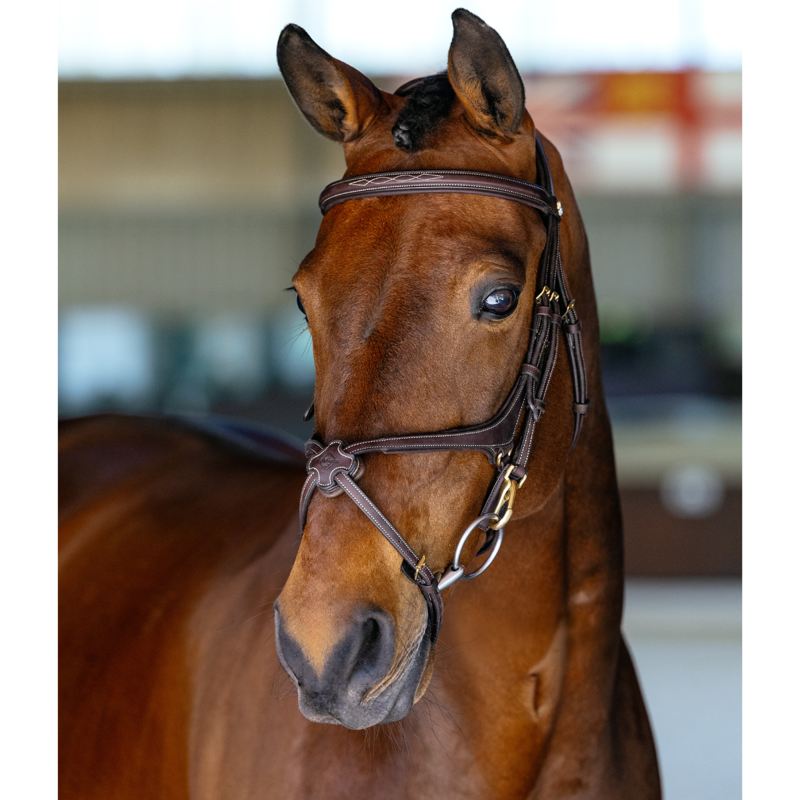 LeMieux Kudos Grackle Work Bridle - Brown-2