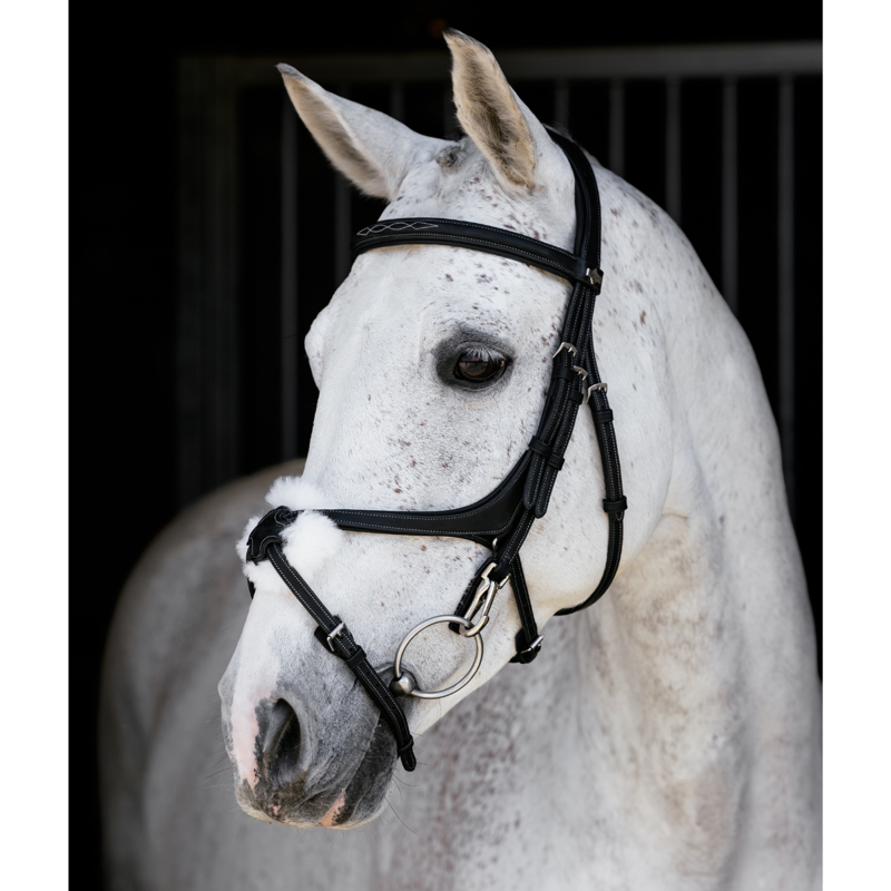 LeMieux Kudos Grackle Work Bridle - Black-1