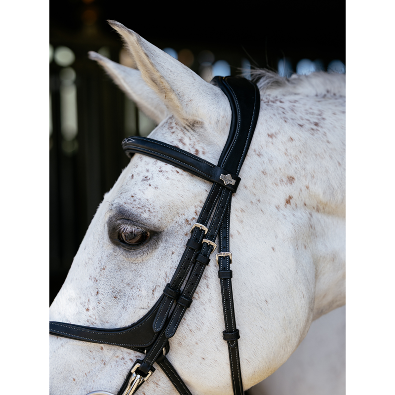 LeMieux Kudos Grackle Work Bridle - Black-4