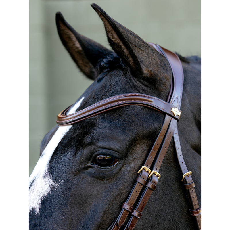 LeMieux Kudos Sport Bridle - Havana/Brass-3