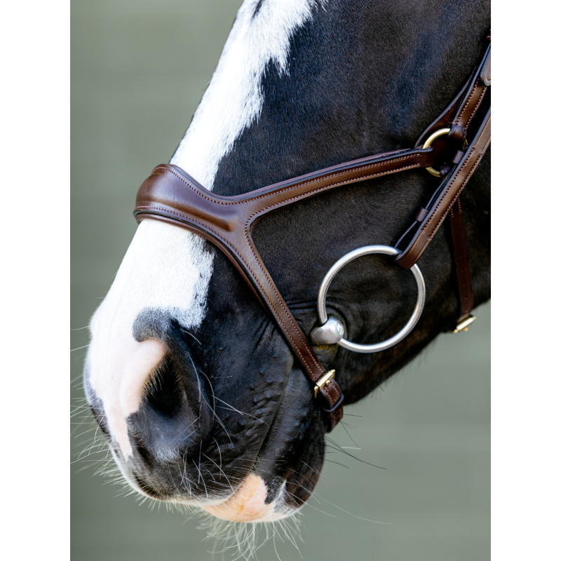 LeMieux Kudos Sport Bridle - Havana/Brass-4