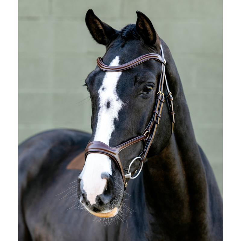 LeMieux Kudos Sport Bridle - Havana/Brass-1