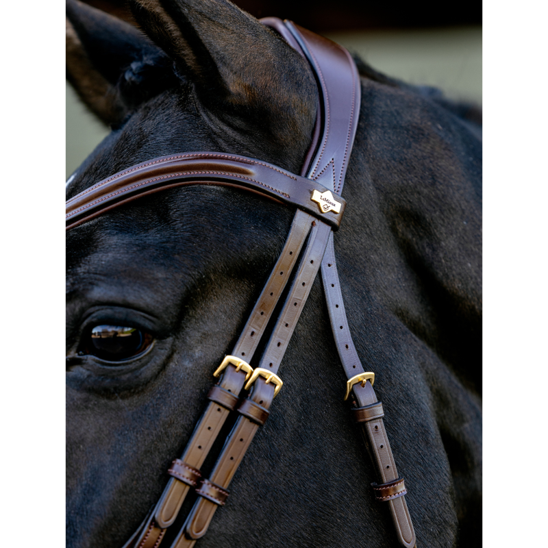 LeMieux Kudos Sport Bridle - Havana/Brass-2