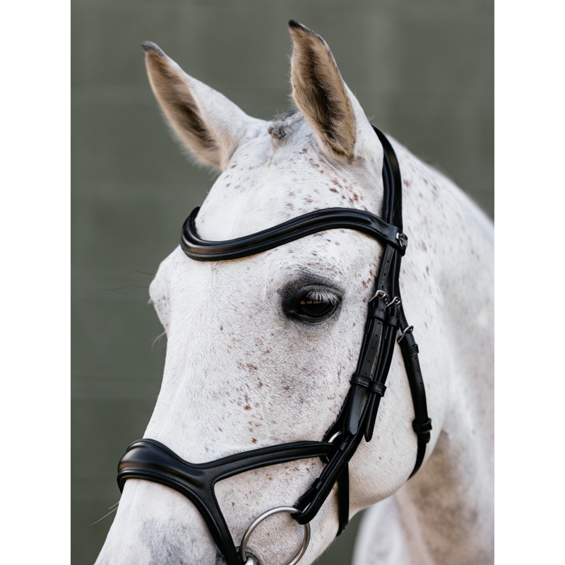 LeMieux Kudos Sport Bridle - Black/Silver-3