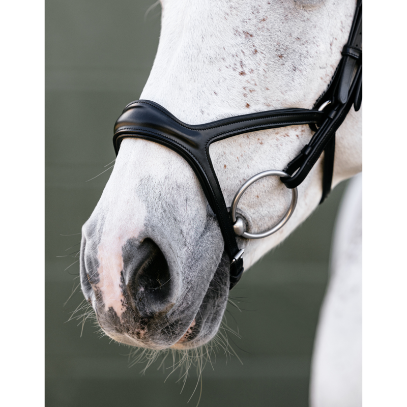 LeMieux Kudos Sport Bridle - Black/Silver-2