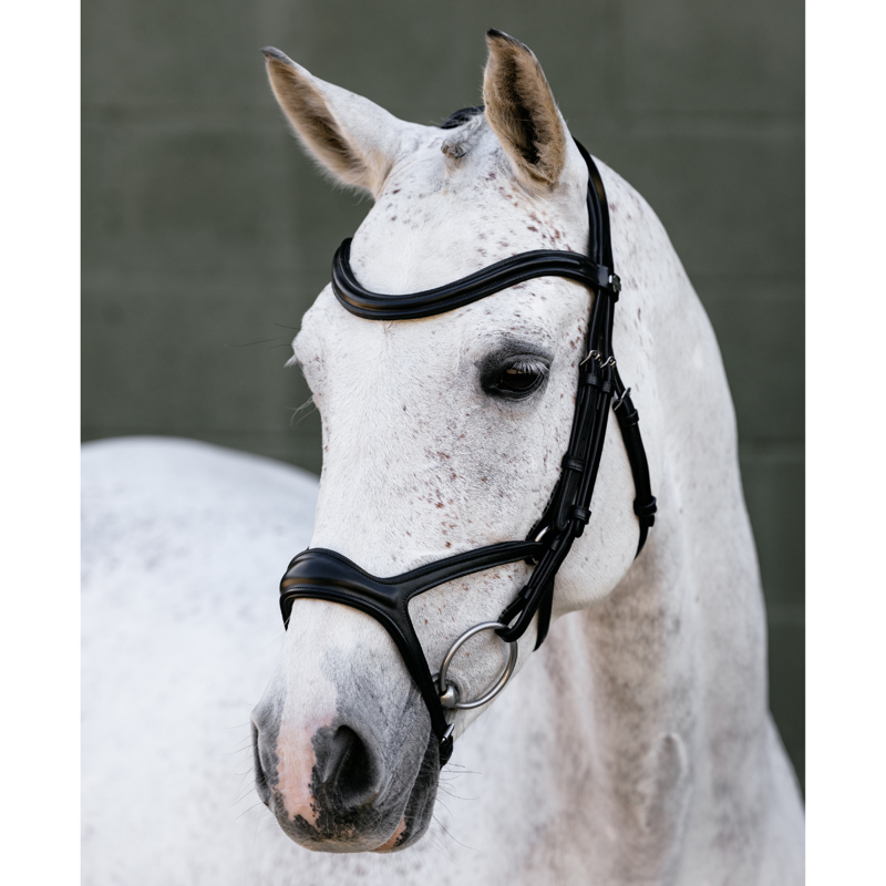 LeMieux Kudos Sport Bridle - Black/Silver-1