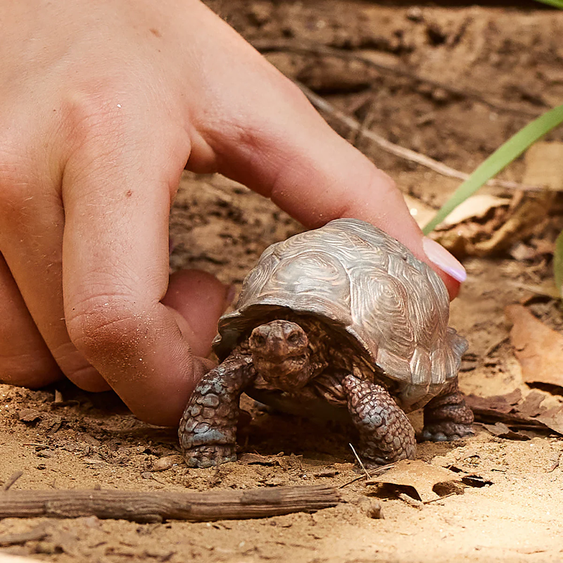 Schleich Giant Tortoise-1
