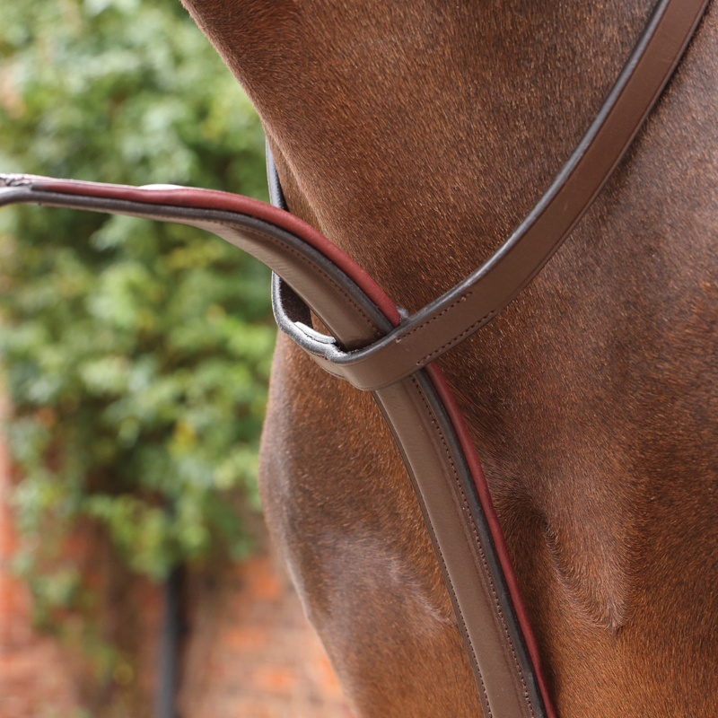 Shires Velociti LUSSO Opus Running Martingale - Havana-1