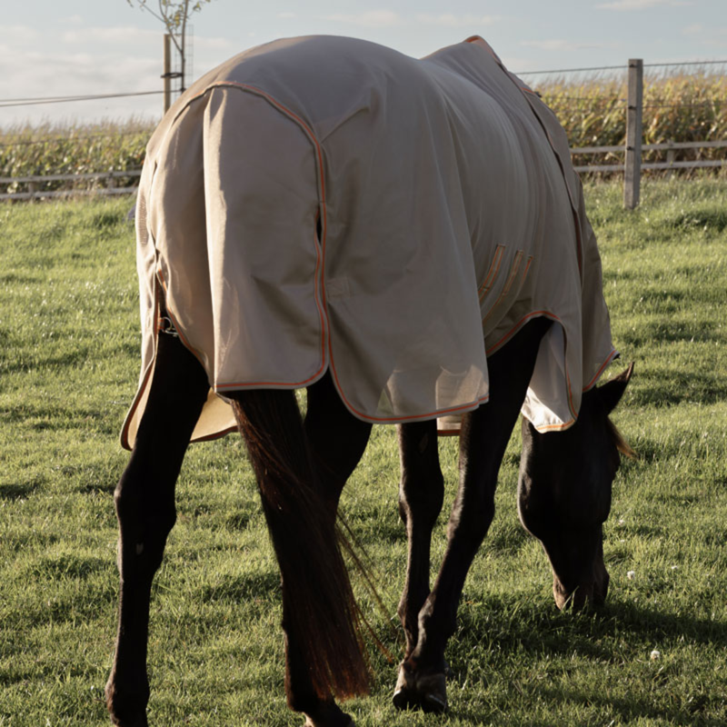 Kentucky Mesh Comfort Fly Rug - Beige/Orange-3