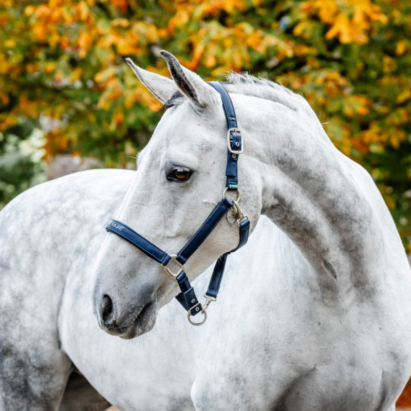 Horseware Grooming Headcollar - Navy