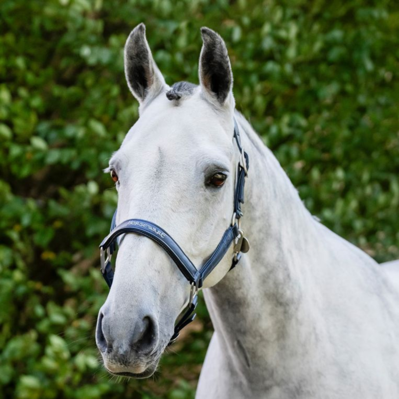 Horseware Grooming Headcollar - Navy-1