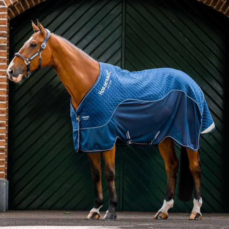 Horseware Signature Travel Cooler - Navy-1