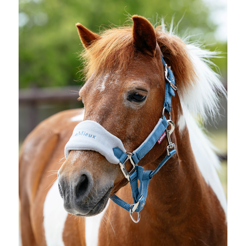 LeMieux Mini Vogue Headcollar and Leadrope - Ice Blue-1