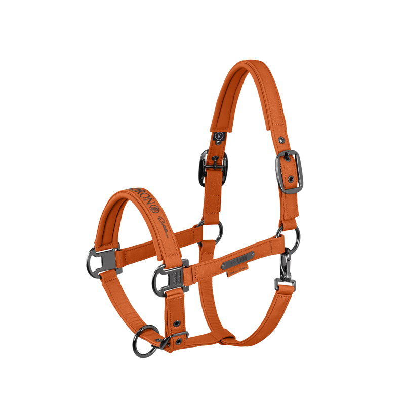 Eskadron Sparkle Double Pin Headcollar Platinum SS26 - Amber
