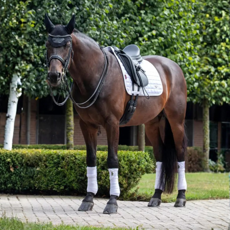 LeMieux Loire Dressage Square - White-1