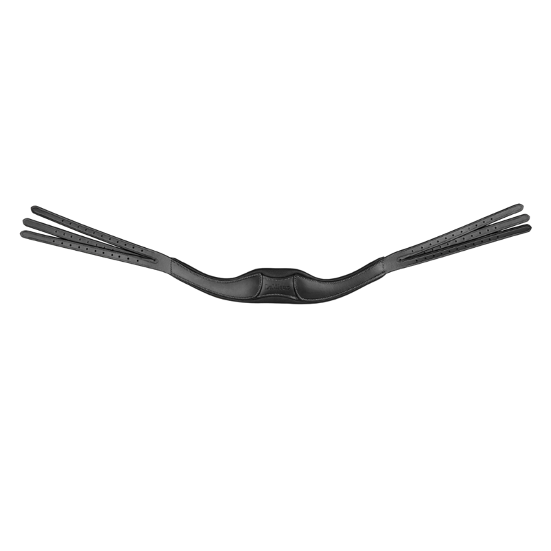LeMieux Arika Contrast Anatomic Headpiece - Black/Silver