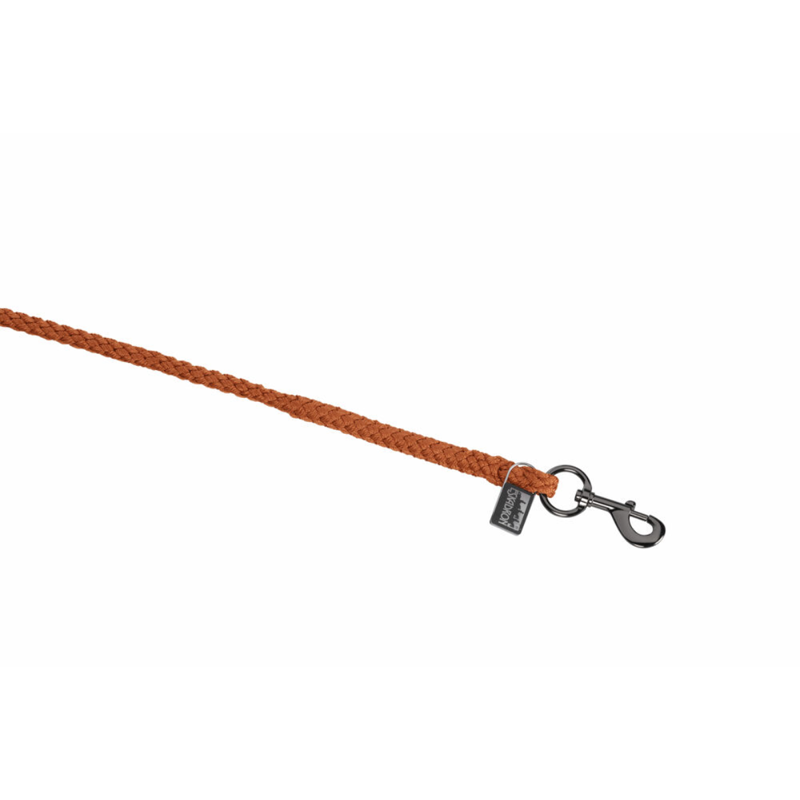 Eskadron Regular Rope Platinum SS26-3