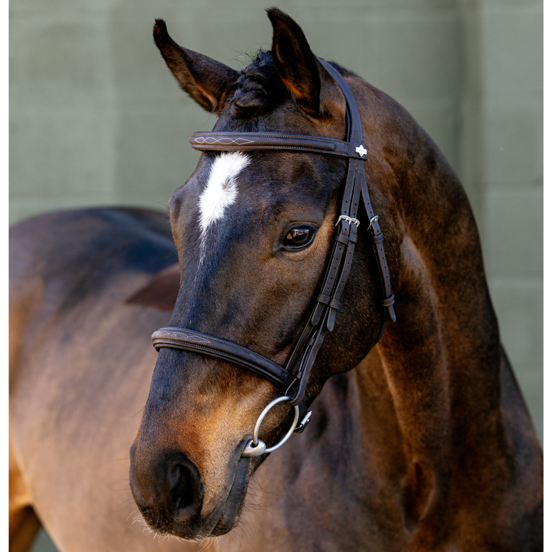 LeMieux Arika Classique Cavesson Bridle - Brown-1