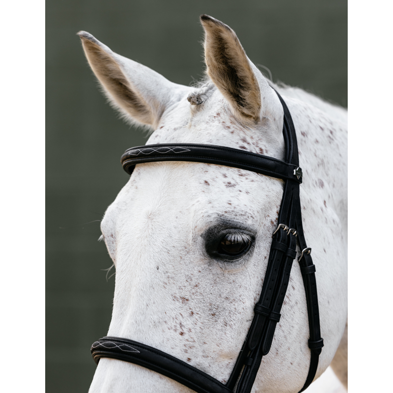 LeMieux Arika Classique Cavesson Bridle - Black-3