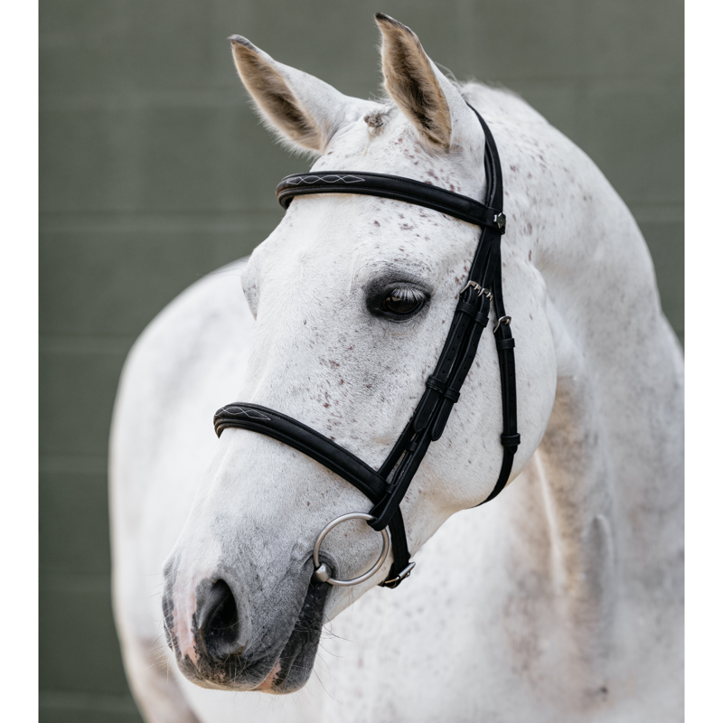 LeMieux Arika Classique Cavesson Bridle - Black-1
